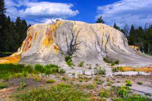 Orange Spring Mound-8546.jpg